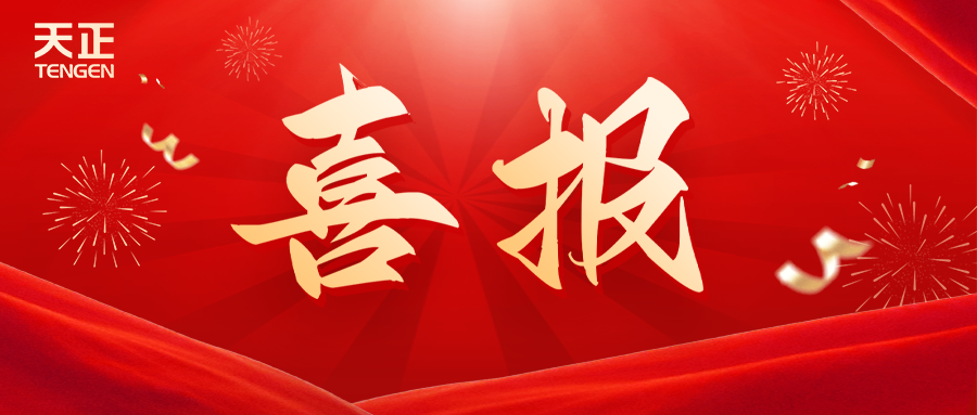 全国首批 温州唯一！麻花星空mv麻花星空mv高清完整荣膺国家卓越级智能工厂